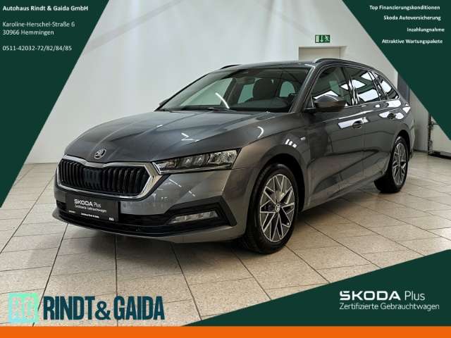 Fahrzeugbild eines Skoda Octavia