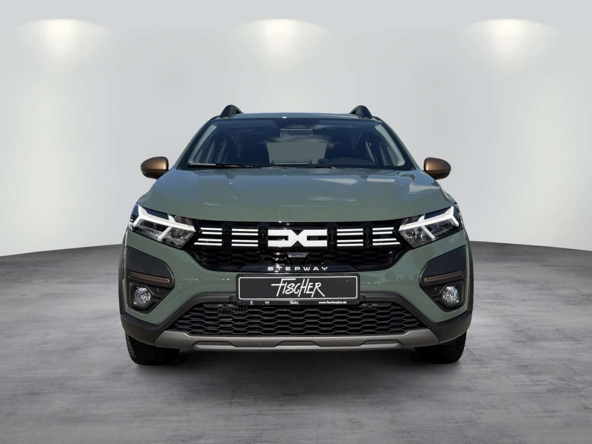Fahrzeugbild eines Dacia Sandero