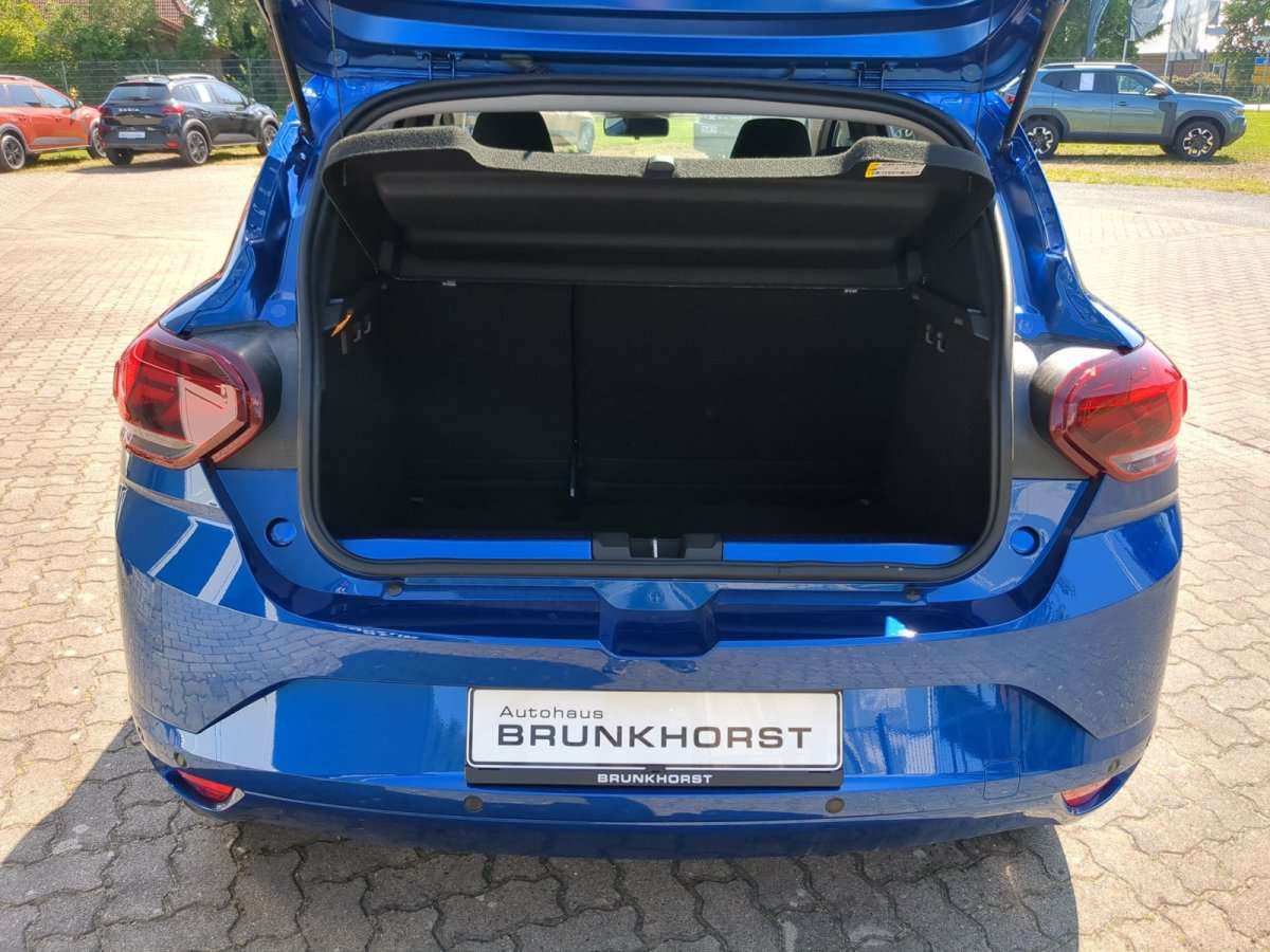 Fahrzeugbild eines Dacia Sandero