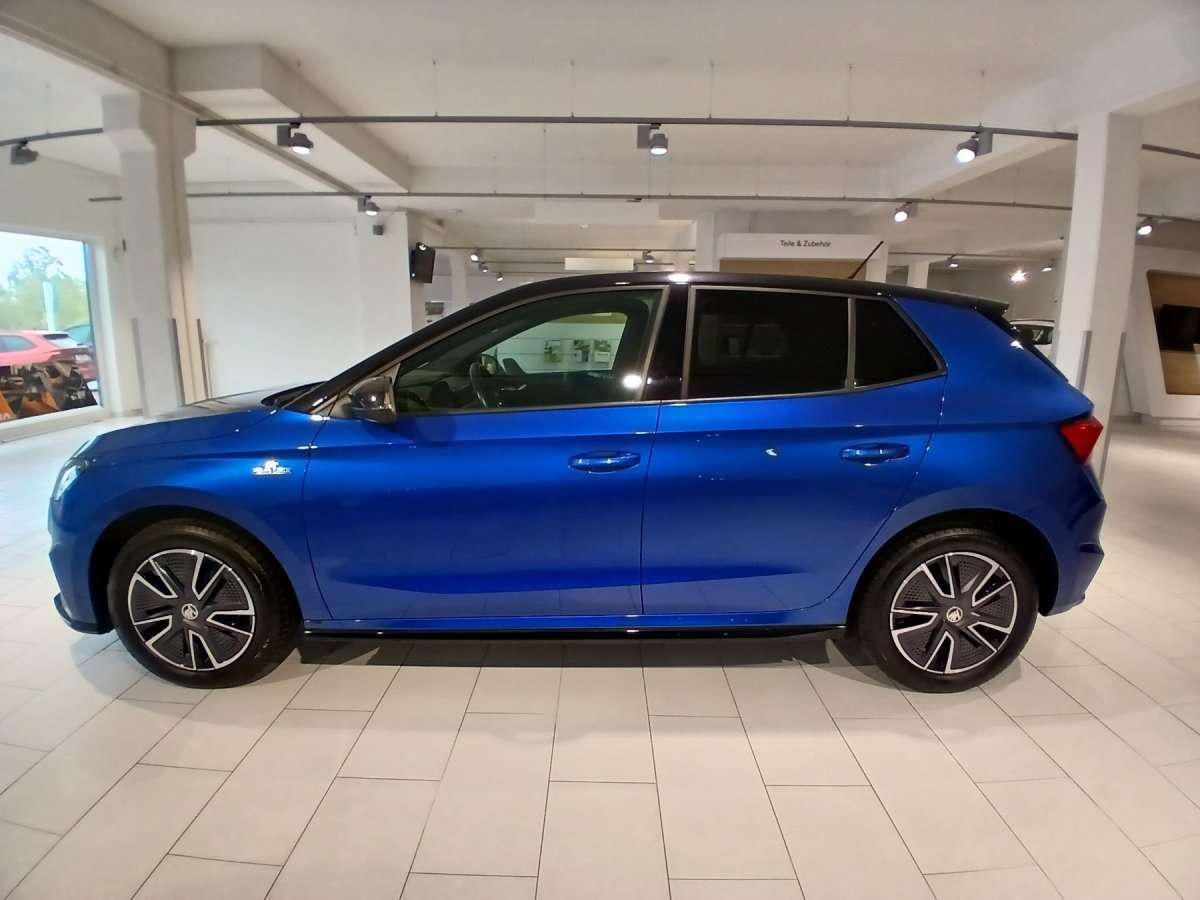 Fahrzeugbild eines Skoda Fabia