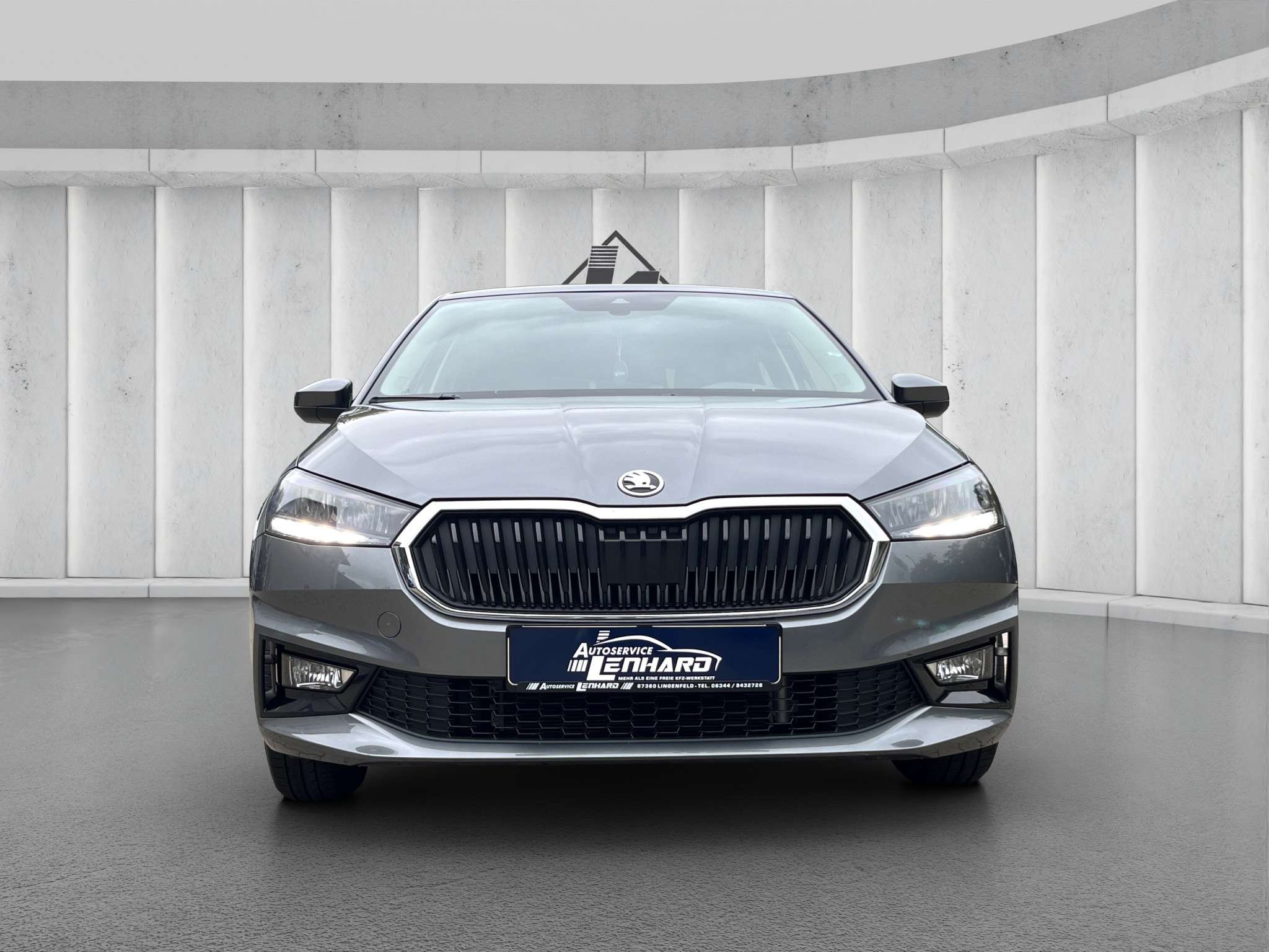 Fahrzeugbild eines Skoda Fabia