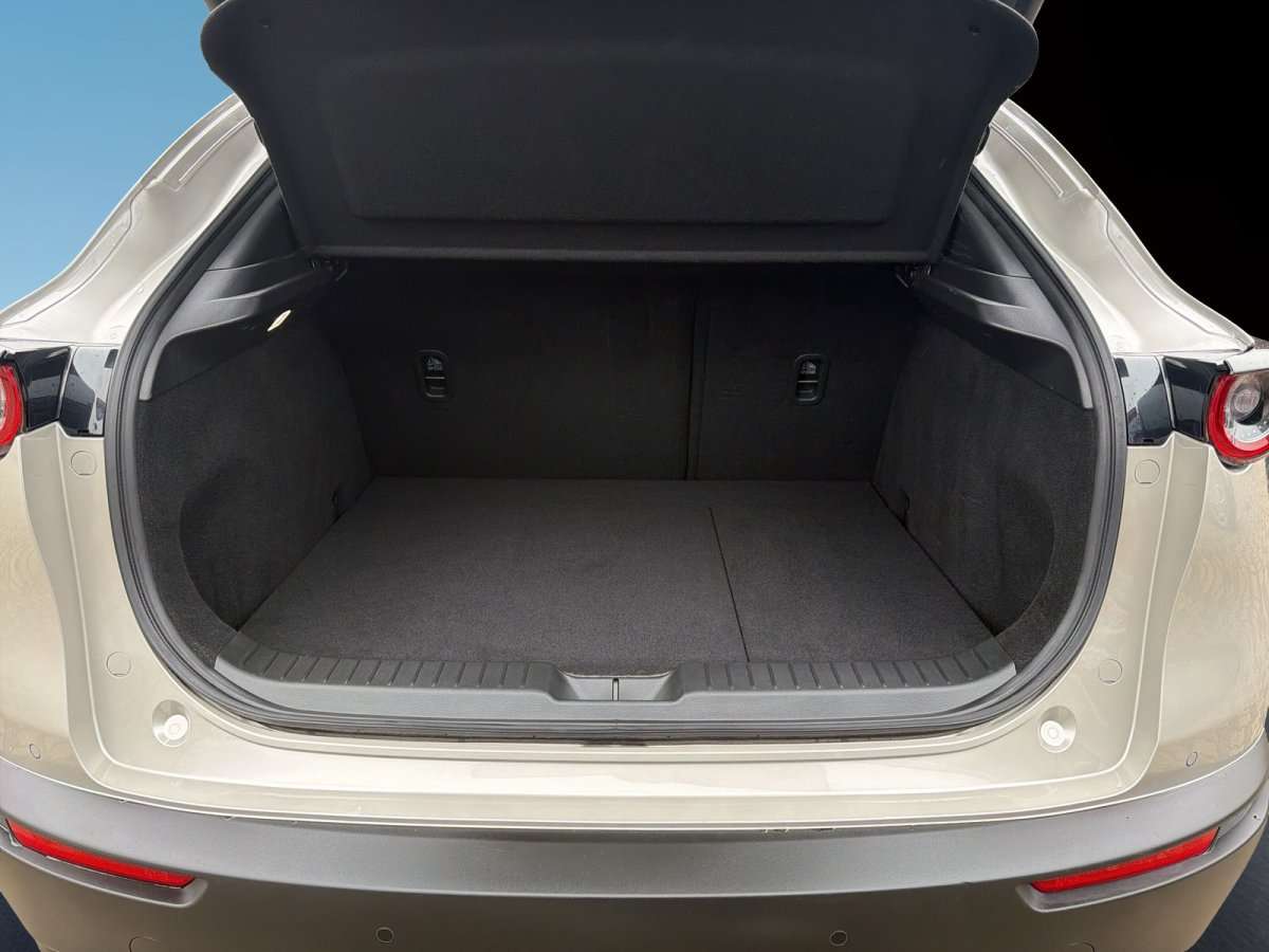 Fahrzeugbild eines Mazda CX-30