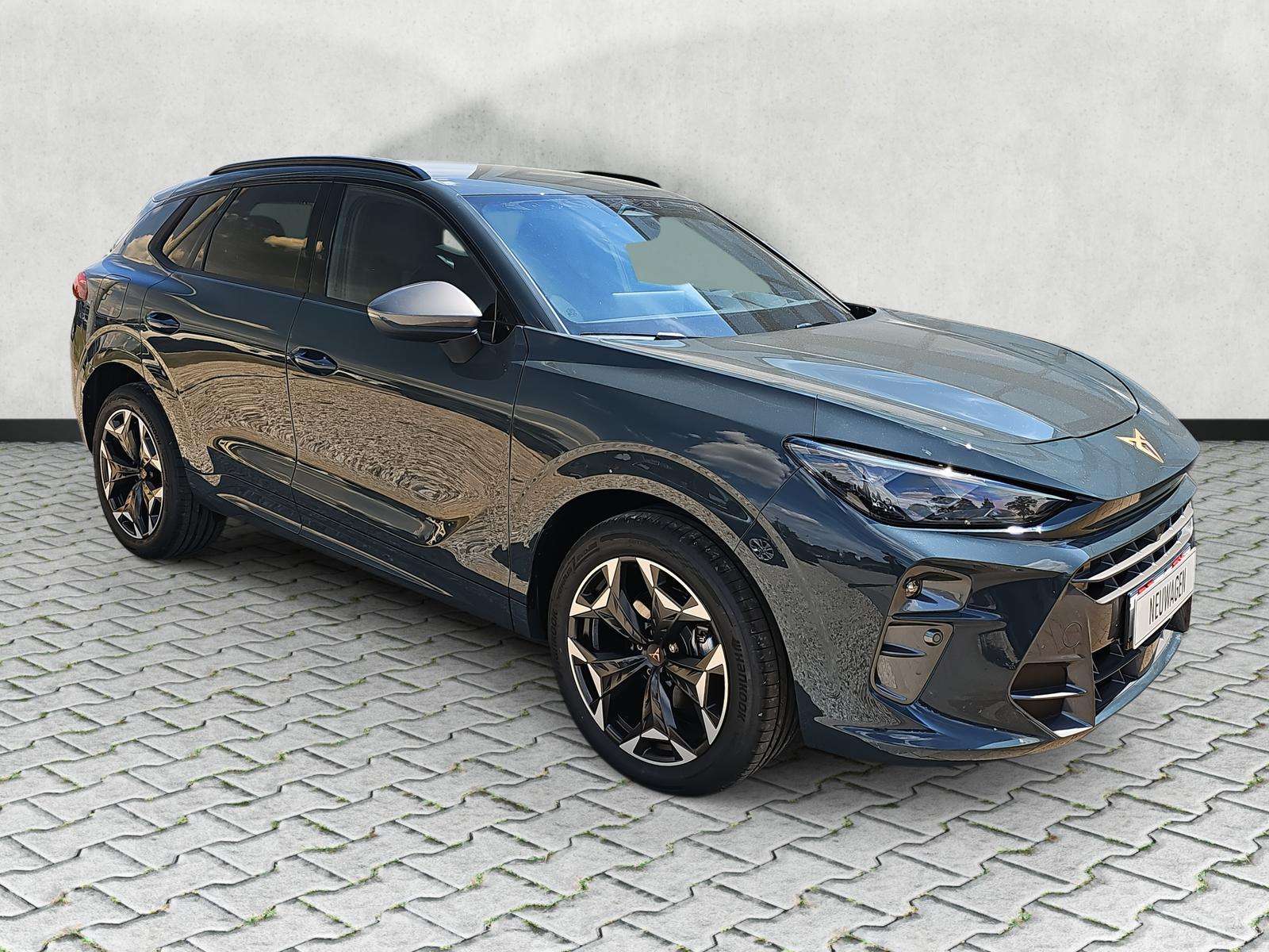 Fahrzeugbild eines CUPRA Terramar