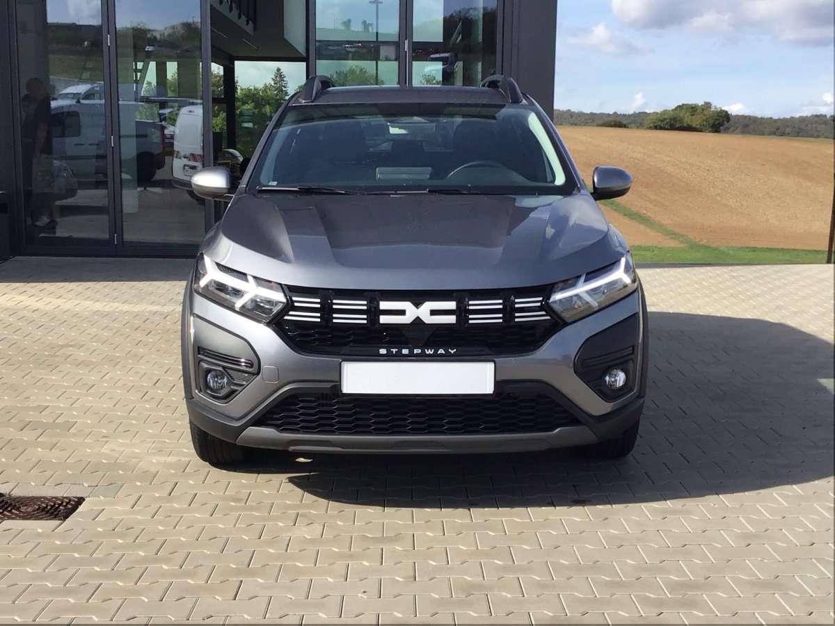 Fahrzeugbild eines Dacia Sandero