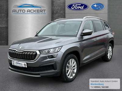 Bild Skoda Kodiaq