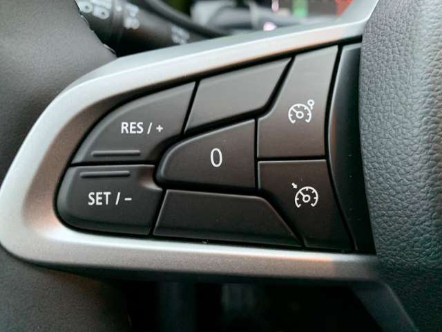 Fahrzeugbild eines Dacia Sandero