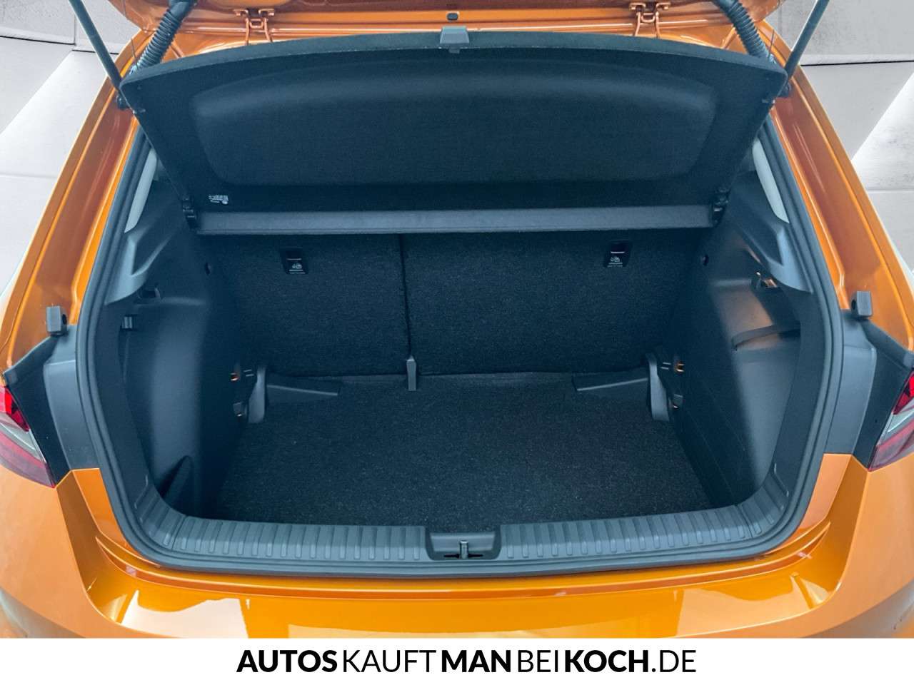 Fahrzeugbild eines Skoda Fabia