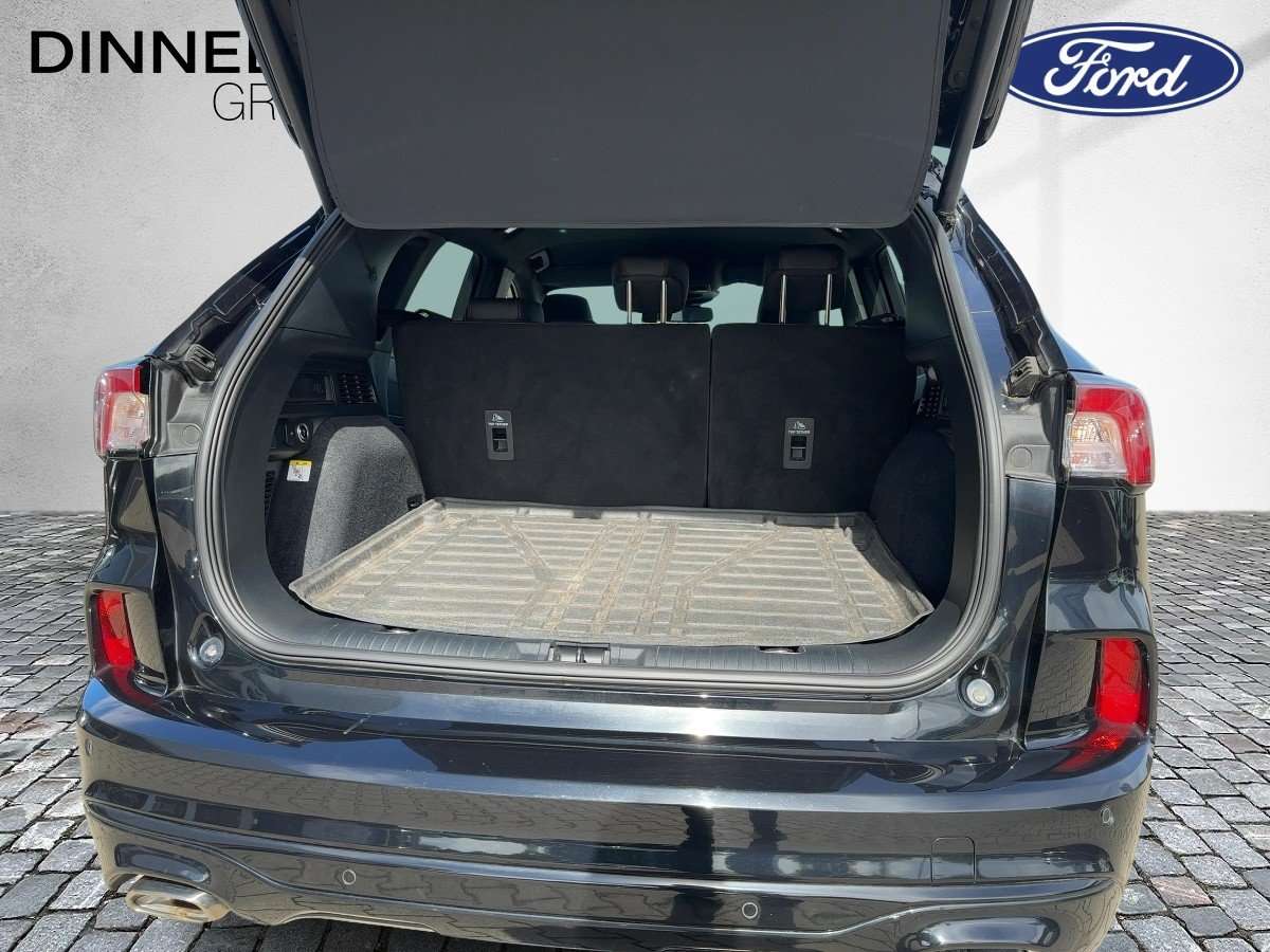 Fahrzeugbild eines Ford Kuga