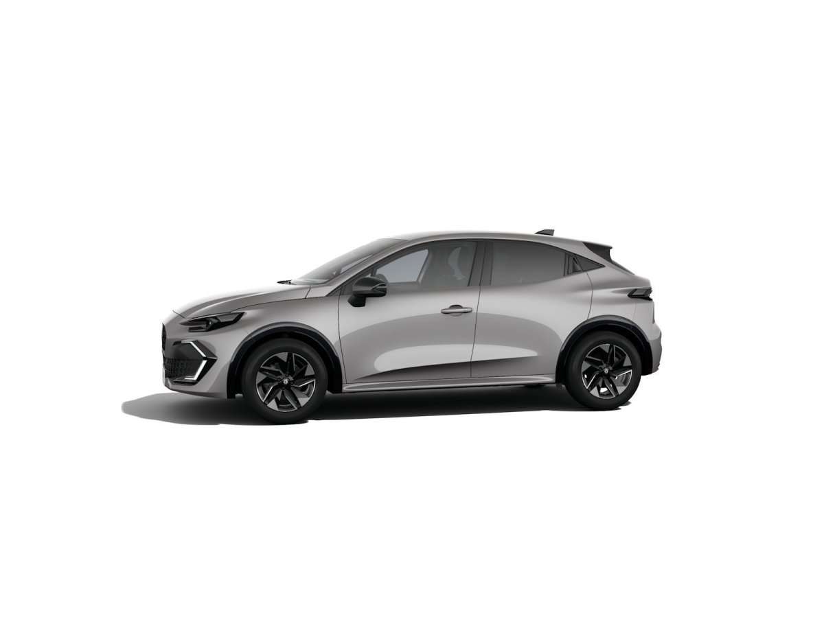 Fahrzeugbild eines Renault Clio