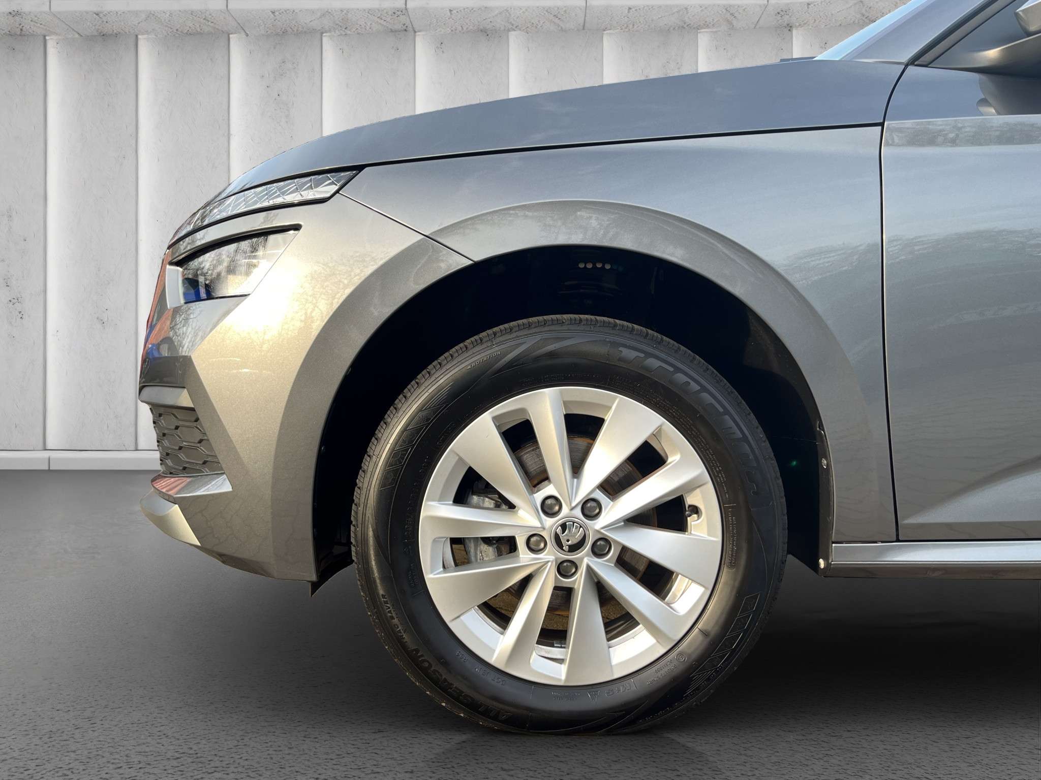 Fahrzeugbild eines Skoda Kamiq