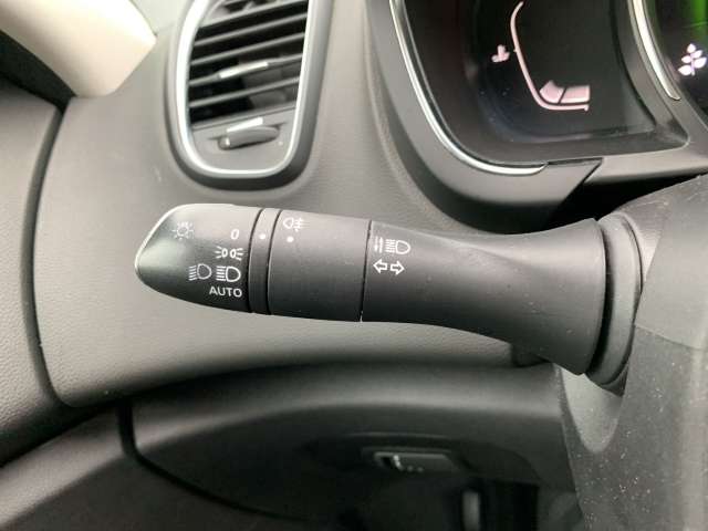 Fahrzeugbild eines Renault Grand Scénic