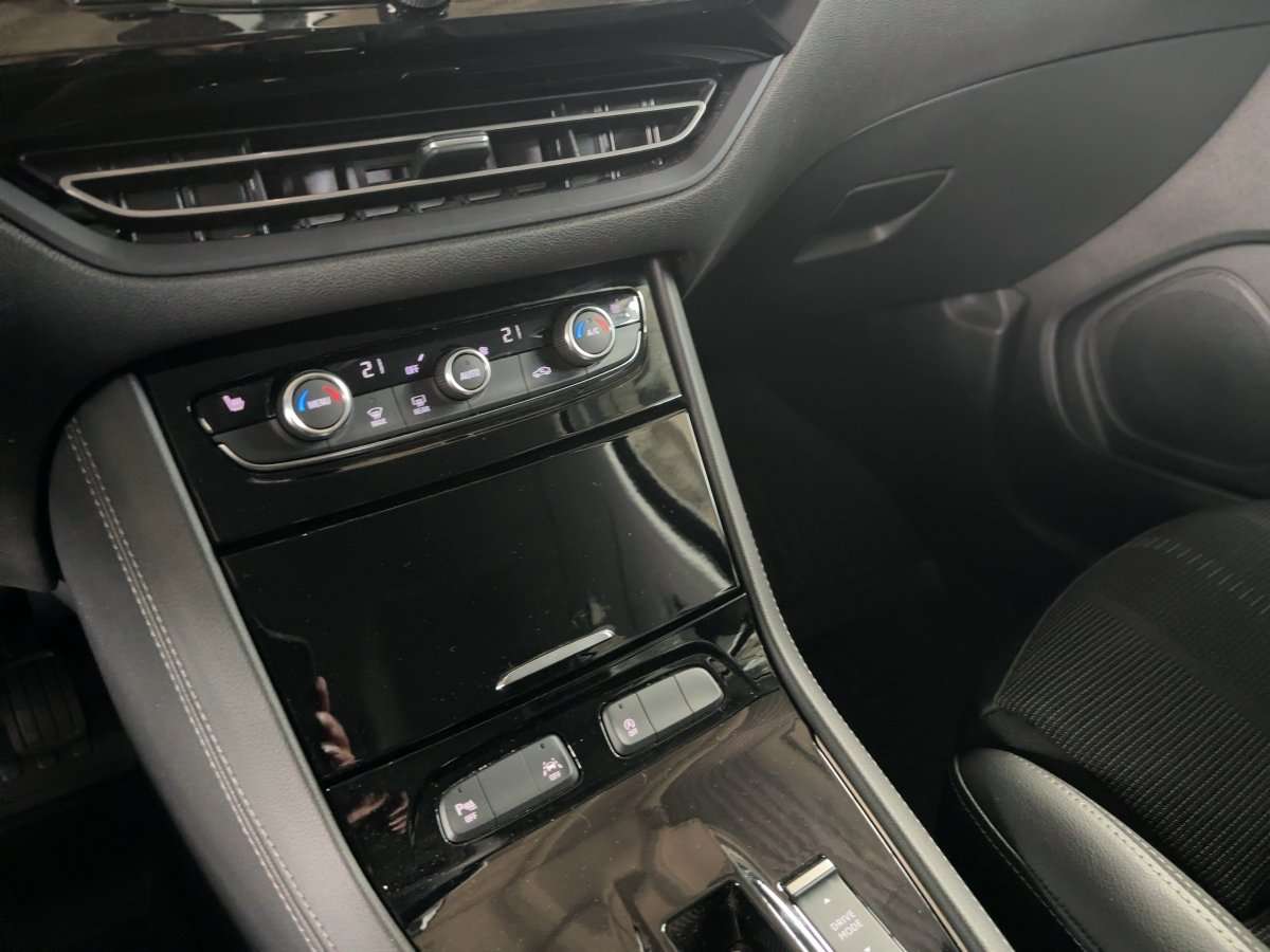 Fahrzeugbild eines Opel Grandland X
