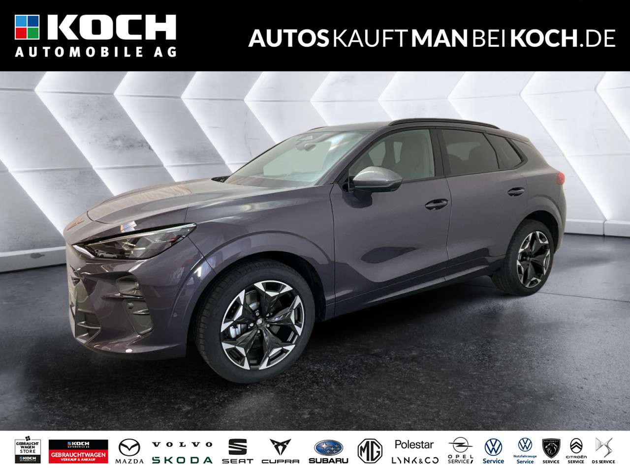 Fahrzeugbild eines CUPRA Terramar