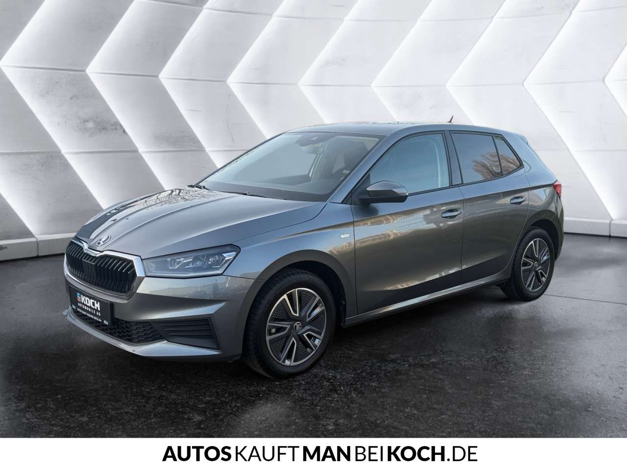 Fahrzeugbild eines Skoda Fabia