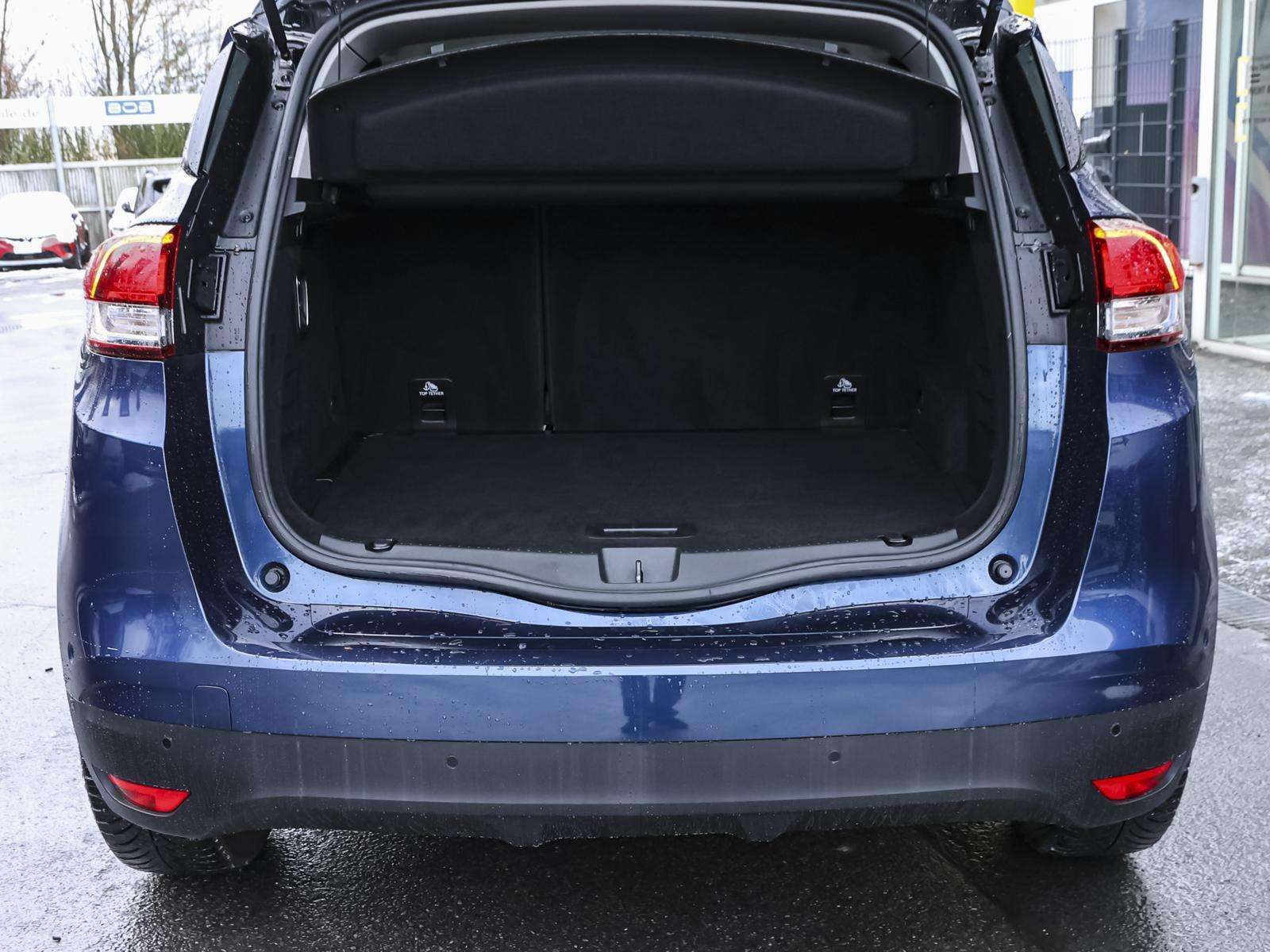 Fahrzeugbild eines Renault Scénic