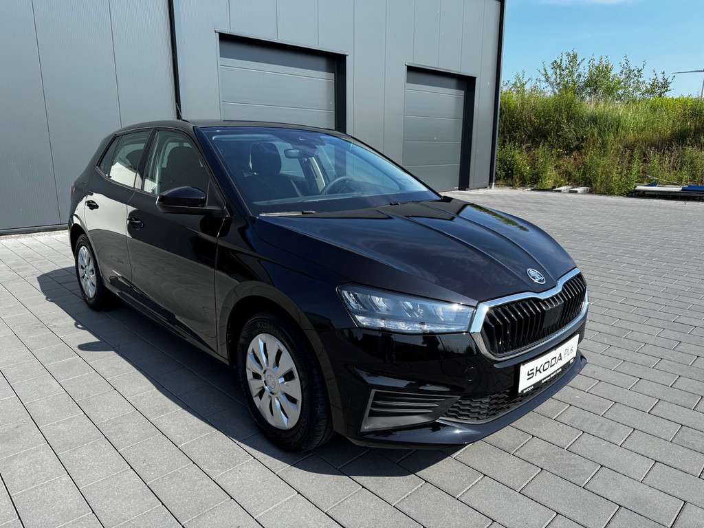 Fahrzeugbild eines Skoda Fabia