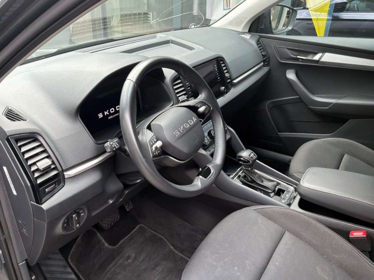 Fahrzeugbild eines Skoda Karoq