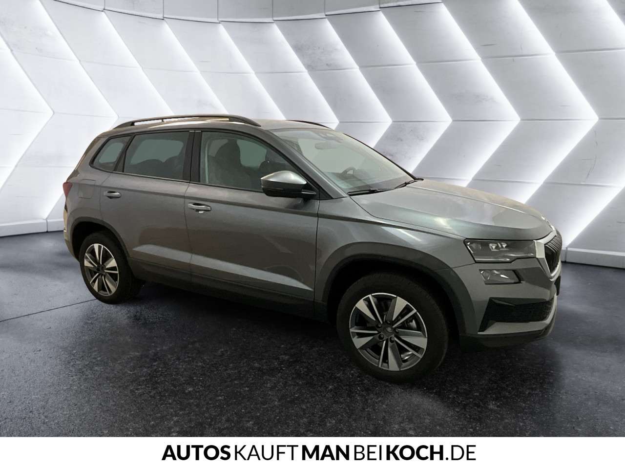Fahrzeugbild eines Skoda Karoq