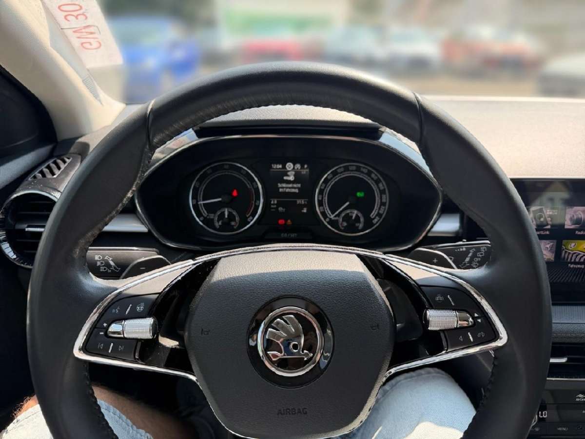 Fahrzeugbild eines Skoda Fabia