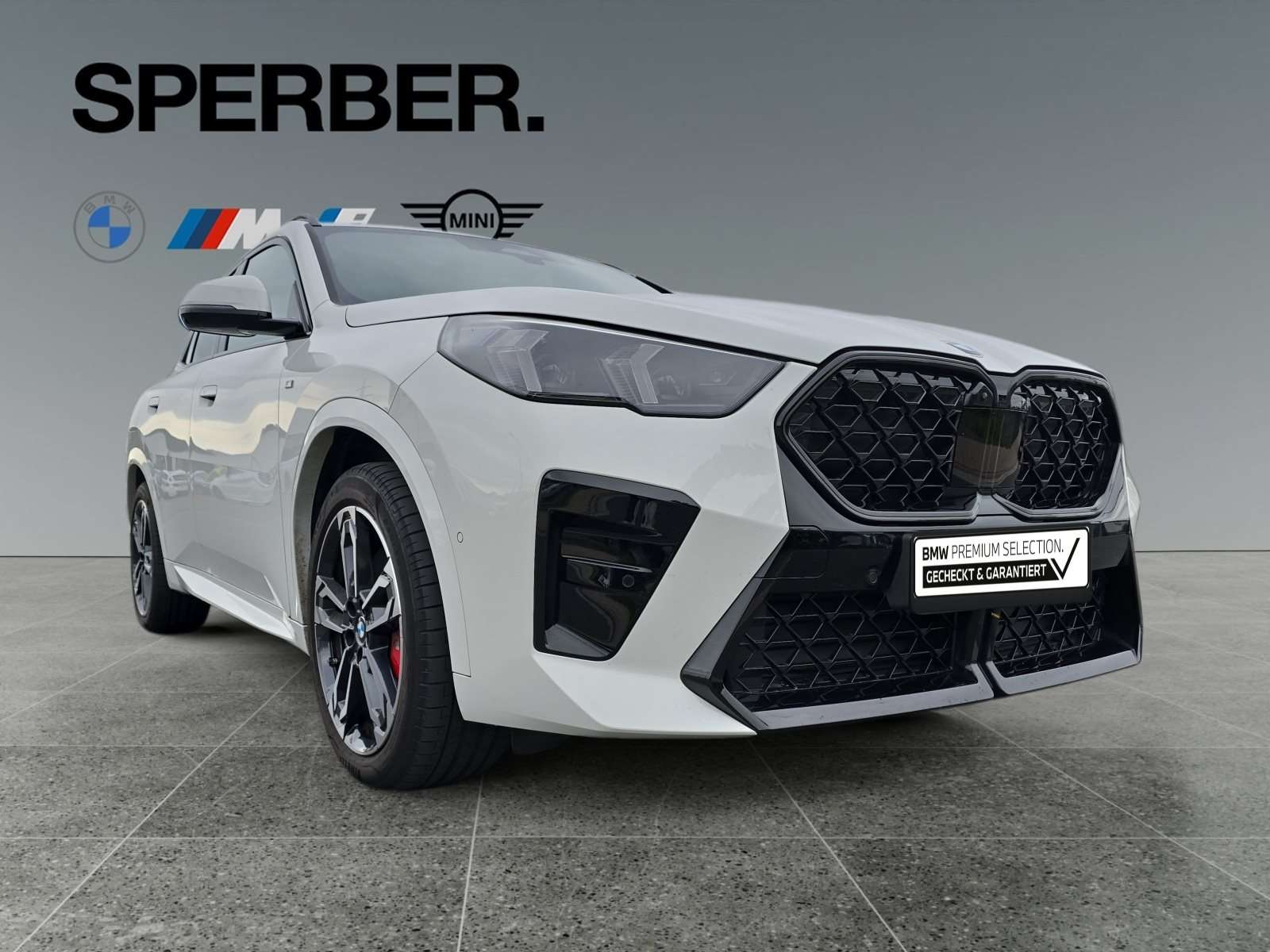 Fahrzeugbild eines BMW X2