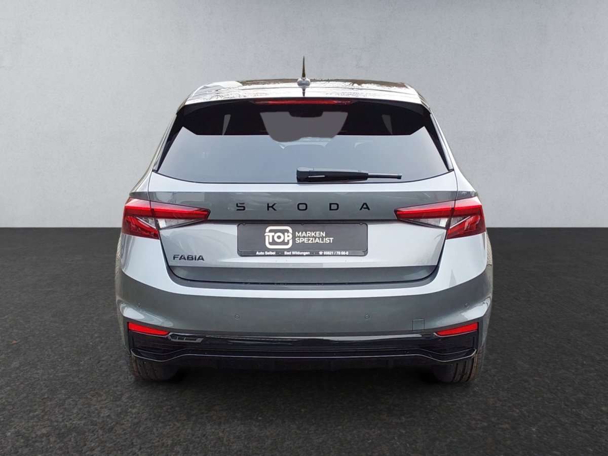 Fahrzeugbild eines Skoda Fabia