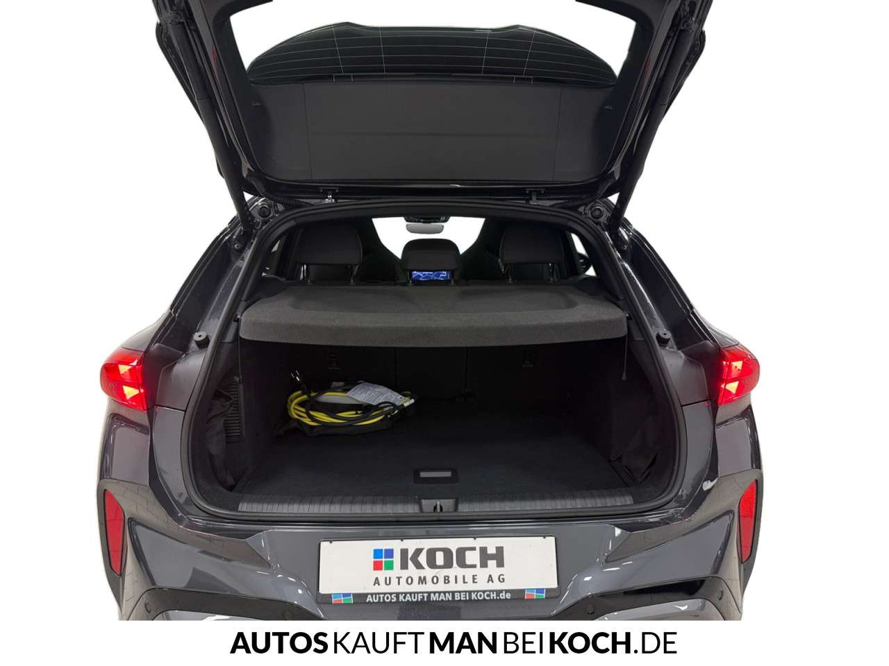 Fahrzeugbild eines CUPRA Terramar