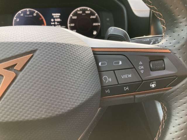 Fahrzeugbild eines CUPRA Formentor