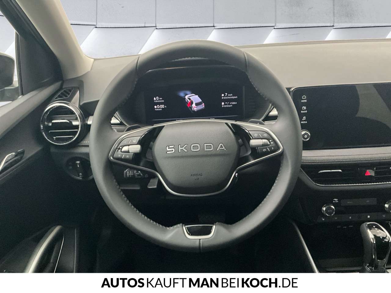 Fahrzeugbild eines Skoda Fabia