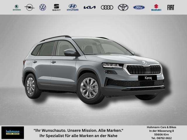 Fahrzeugbild eines Skoda Karoq