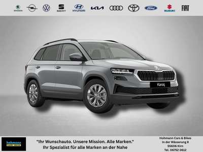 Bild Skoda Karoq