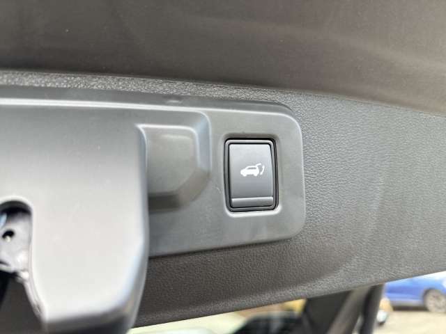 Fahrzeugbild eines Renault Rafale