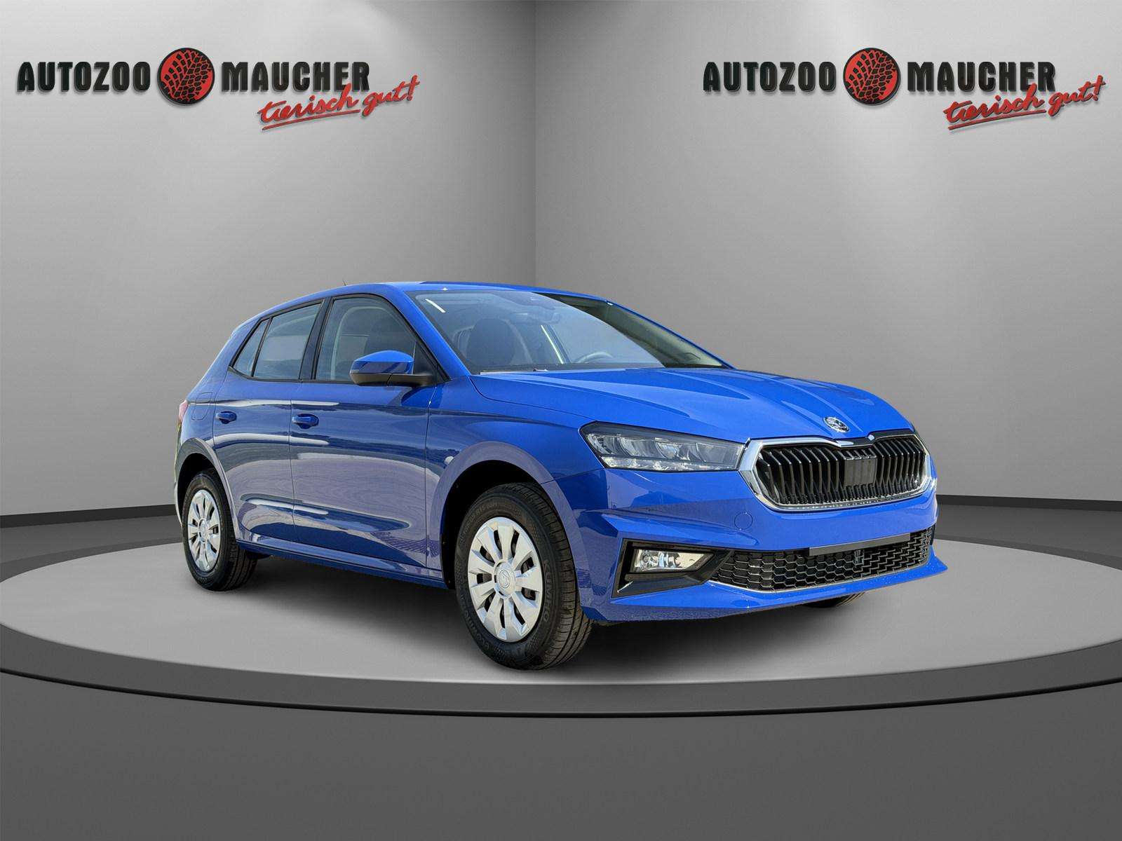 Fahrzeugbild eines Skoda Fabia