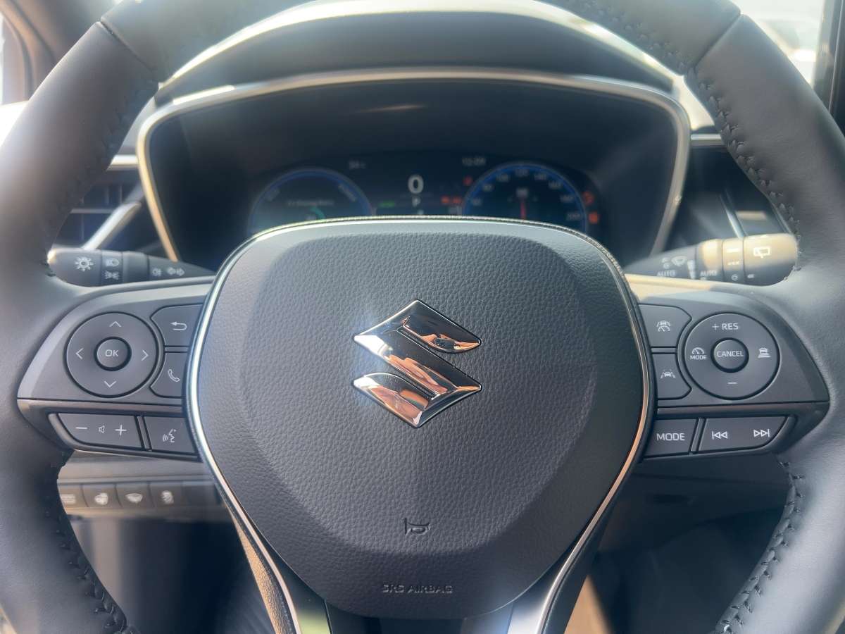 Fahrzeugbild eines Suzuki Swace