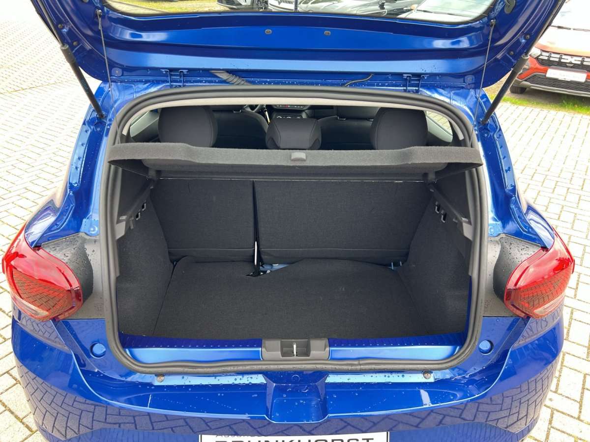 Fahrzeugbild eines Dacia Sandero