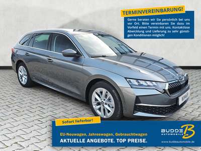 Bild Skoda Octavia
