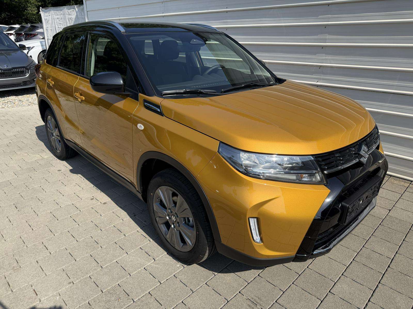 Fahrzeugbild eines Suzuki Vitara