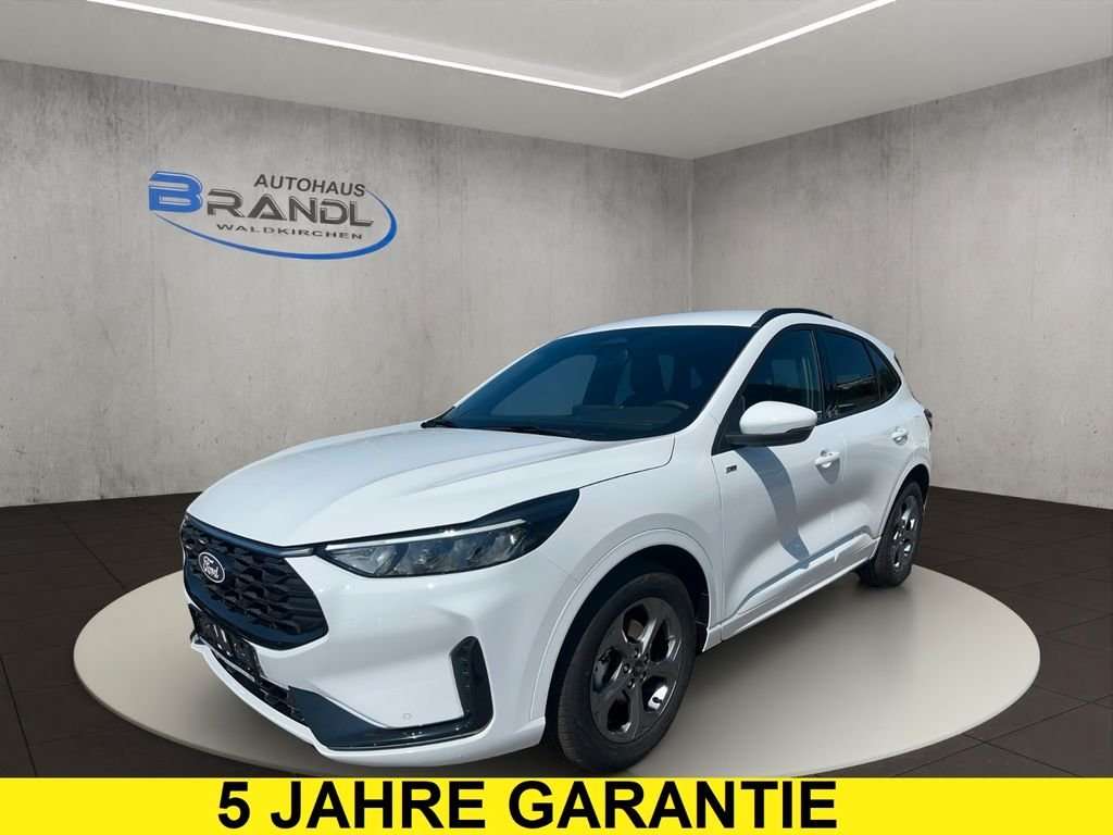Fahrzeugbild eines Ford Kuga