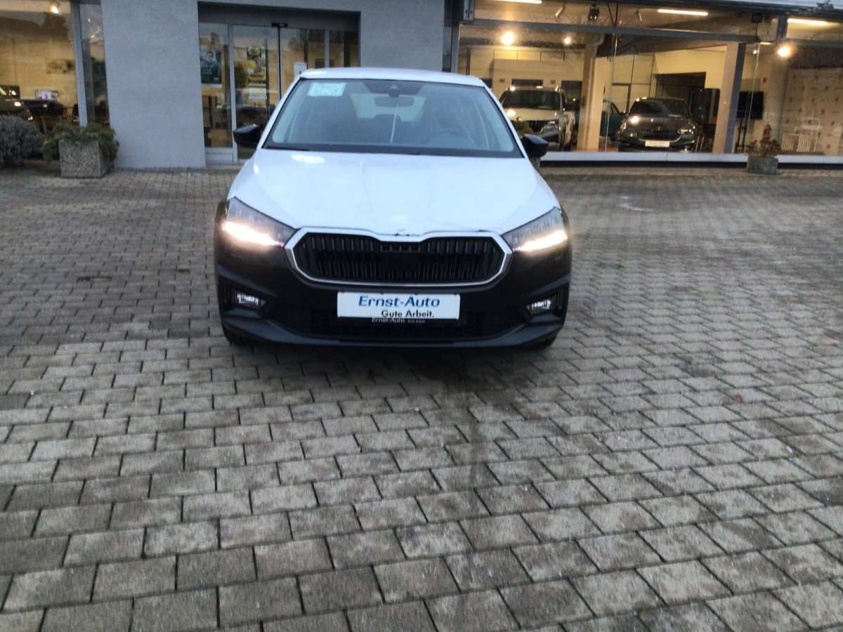 Fahrzeugbild eines Skoda Fabia