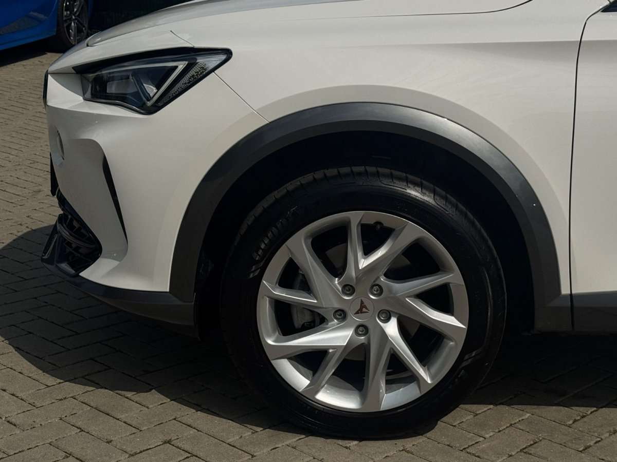 Fahrzeugbild eines CUPRA Formentor