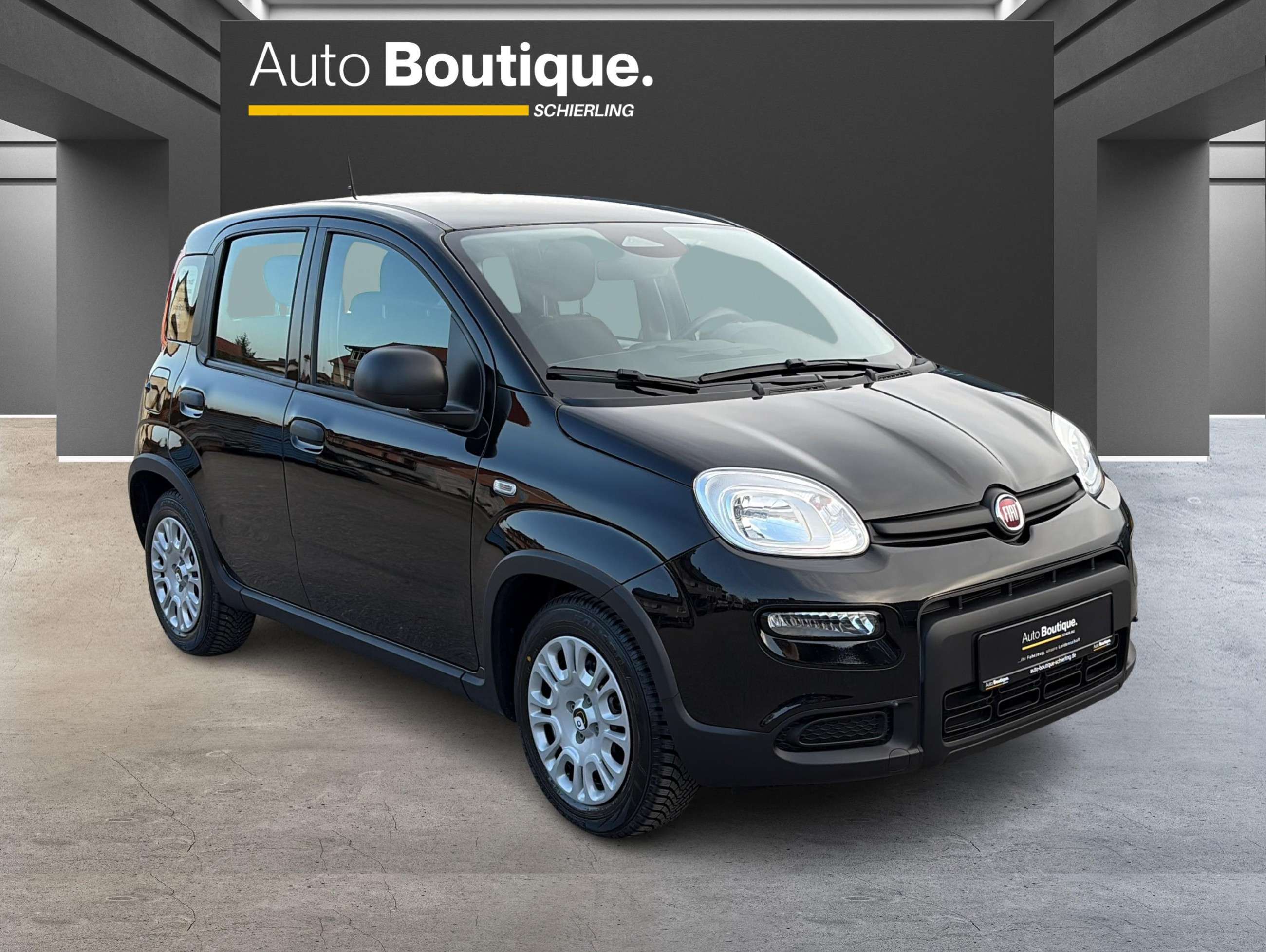 Fahrzeugbild eines Fiat Panda