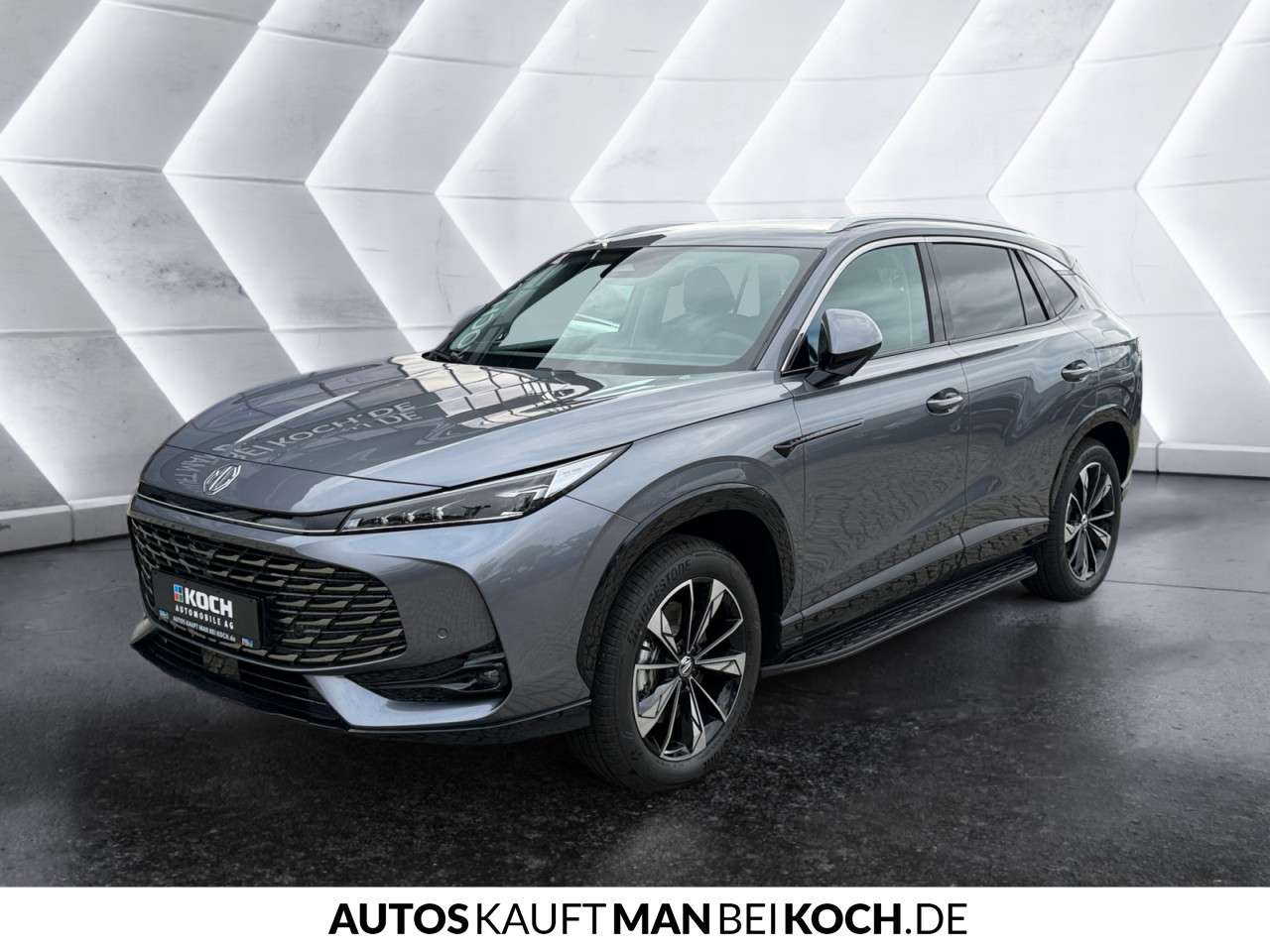 Fahrzeugbild eines MG HS