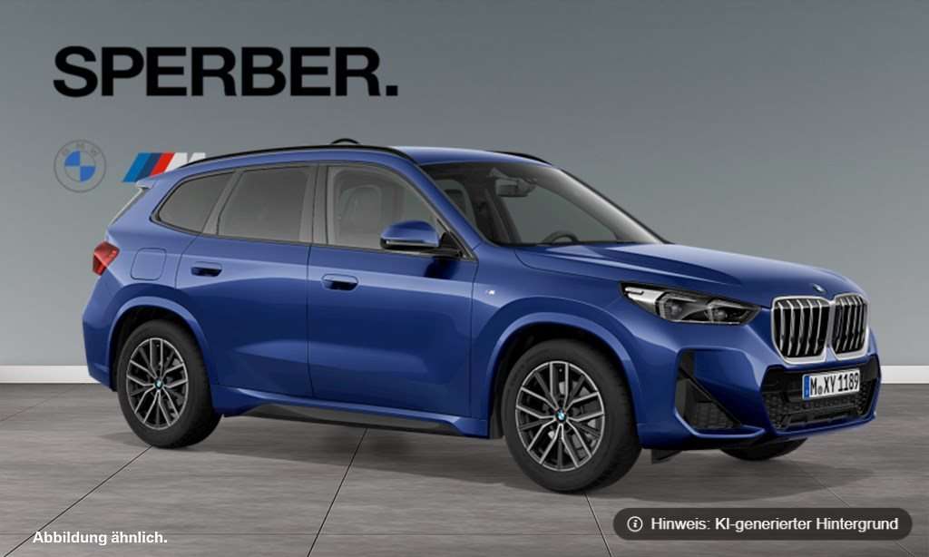 Fahrzeugbild eines BMW X1