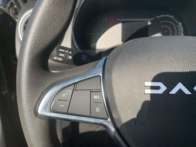 Fahrzeugbild eines Dacia Spring