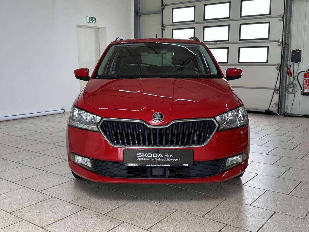 Fahrzeugbild eines Skoda Fabia
