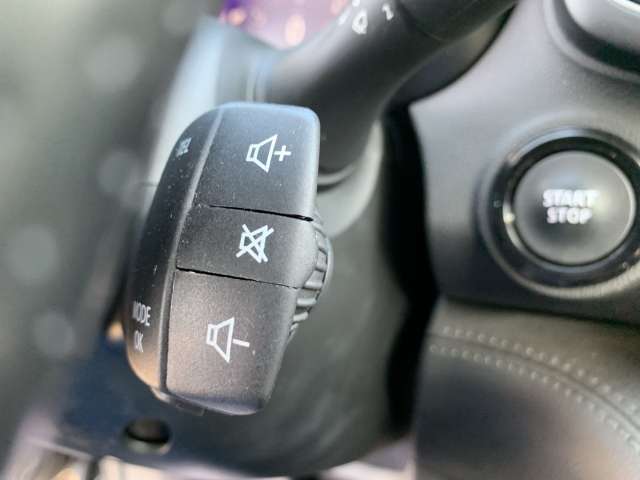 Fahrzeugbild eines Renault Koleos