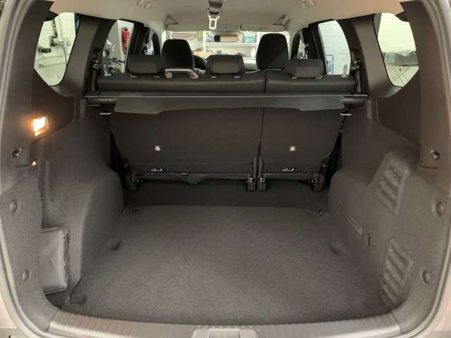 Fahrzeugbild eines Dacia Jogger