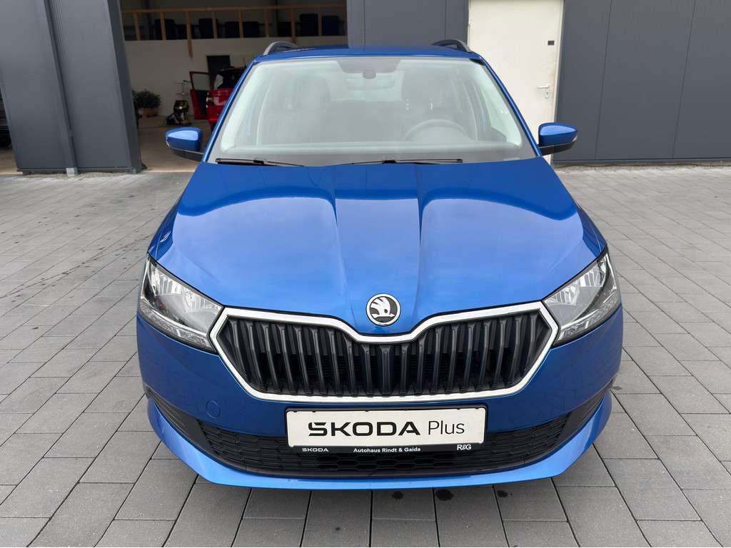 Fahrzeugbild eines Skoda Fabia
