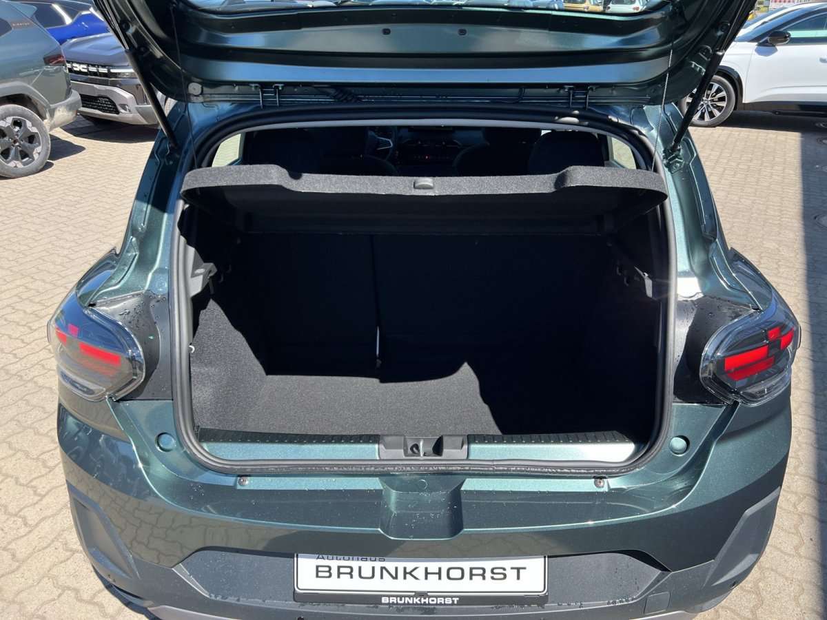 Fahrzeugbild eines Dacia Sandero