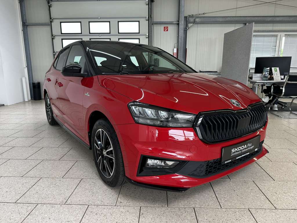 Fahrzeugbild eines Skoda Fabia