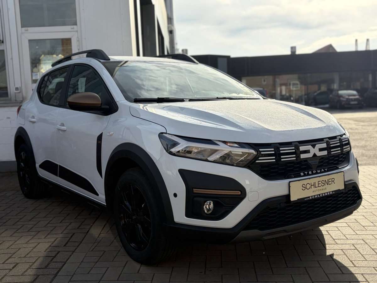 Fahrzeugbild eines Dacia Sandero